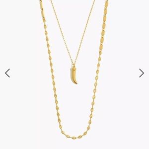 Madewell Mixed Chain Horn Pendant Necklace